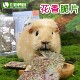 赫尔达草本花香脆片兔子天竺鼠豚鼠荷兰猪龙猫干草零食12片
