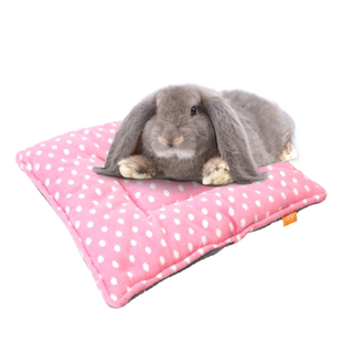 OIC奥艾斯兔兔温软棉垫 兔子龙猫荷兰猪豚鼠天竺鼠保暖坐垫