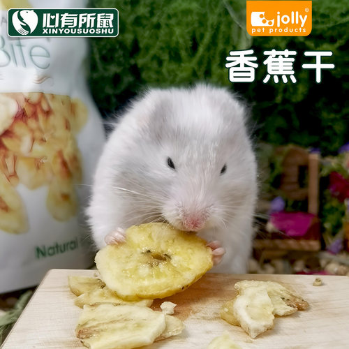 Jolly香蕉干龙猫兔子仓鼠零食