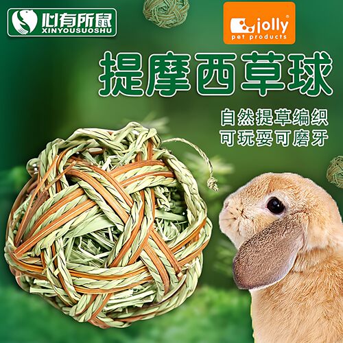 jolly龙猫荷兰猪兔子玩具草球