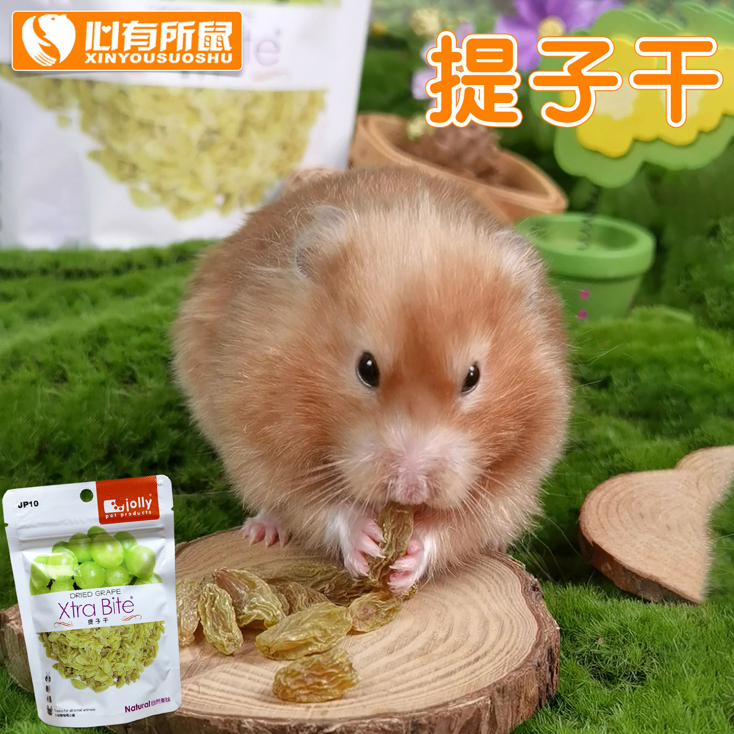 Jolly祖莉提子干葡萄干80g兔子饲料豚鼠粮食荷兰猪仓鼠零食补充VC