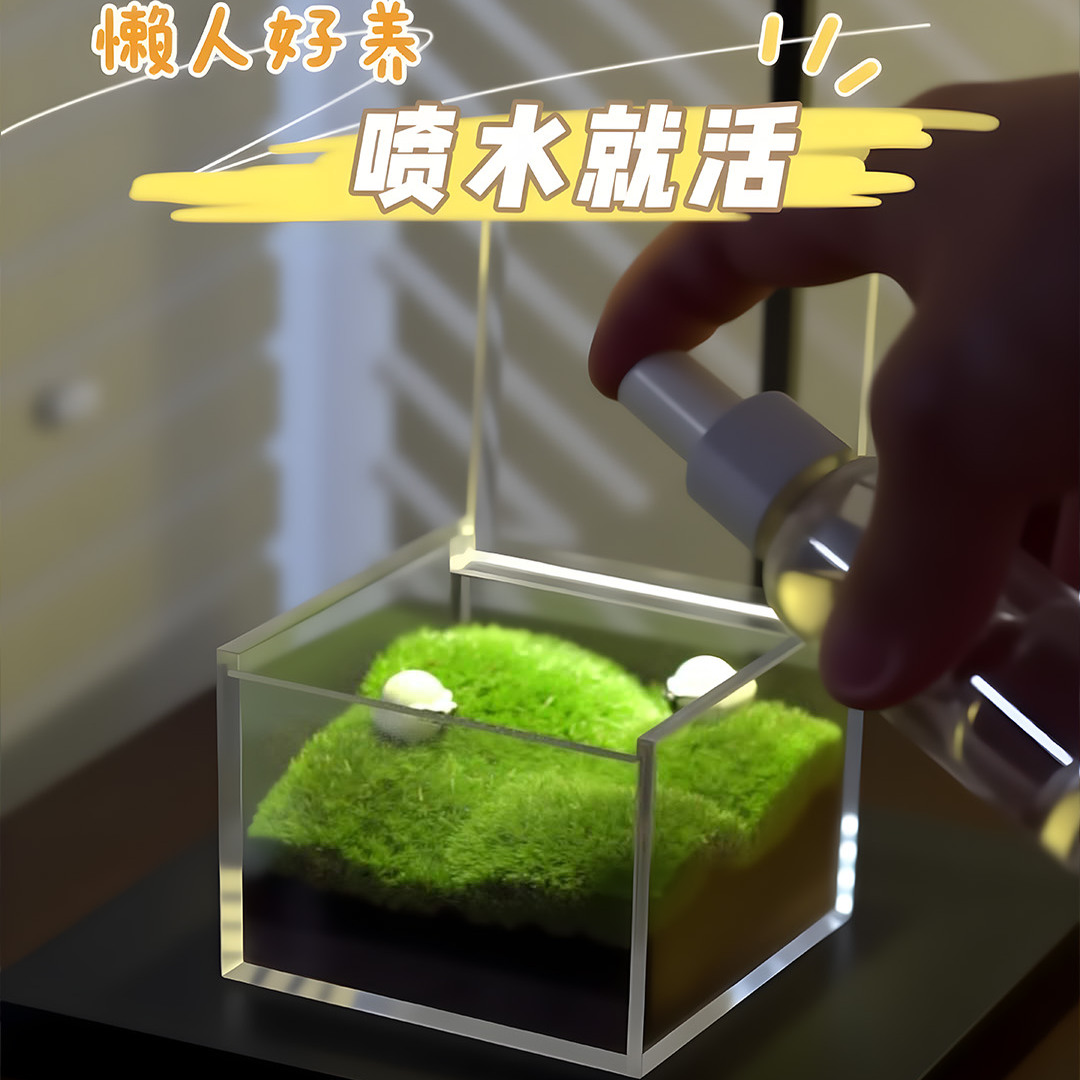 懒人好养！喷水就活！苔藓微景观