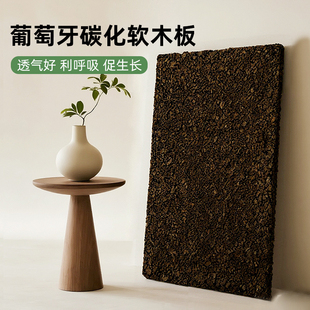 碳化软木块雨林缸造景神器碳化软木板背景造景材料可种蕨类兰花