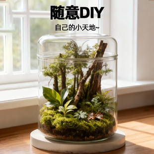 微景观露集杯生态瓶高硼硅玻璃瓶透明采光苔藓瓶桌面植物集露瓶