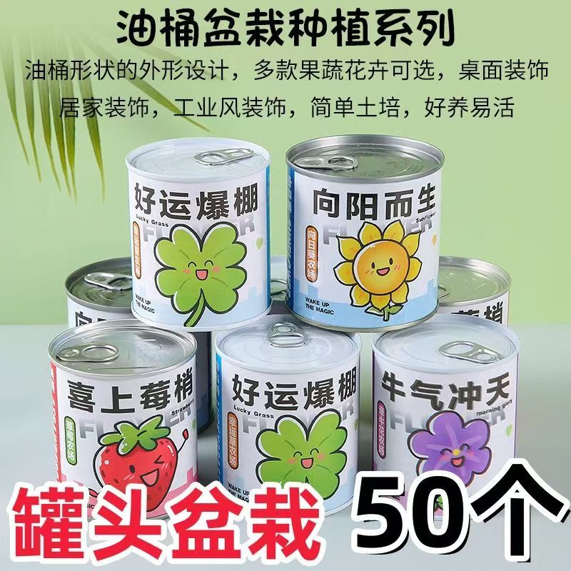 植物罐头盆栽小礼物儿童奖品