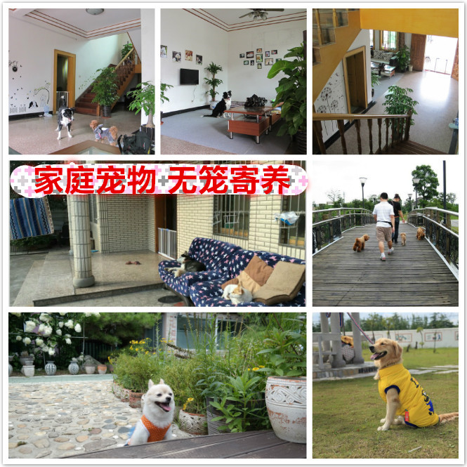 可开票上海家庭宠物无宠物寄养