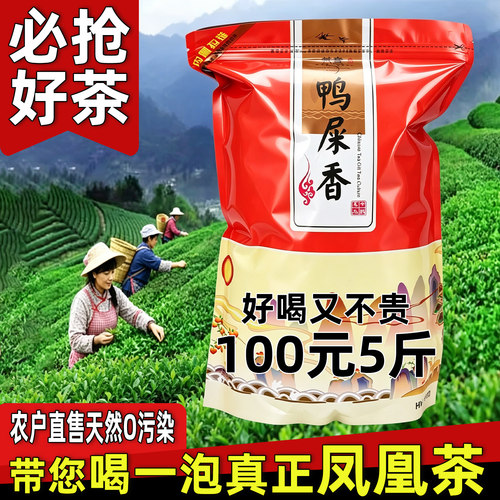 凤凰单枞茶鸭屎香茶头柠檬汁500g