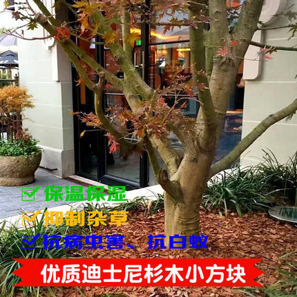 有机基质覆盖物迪士尼杉树树皮园林生态花坛树池树穴月季土壤地