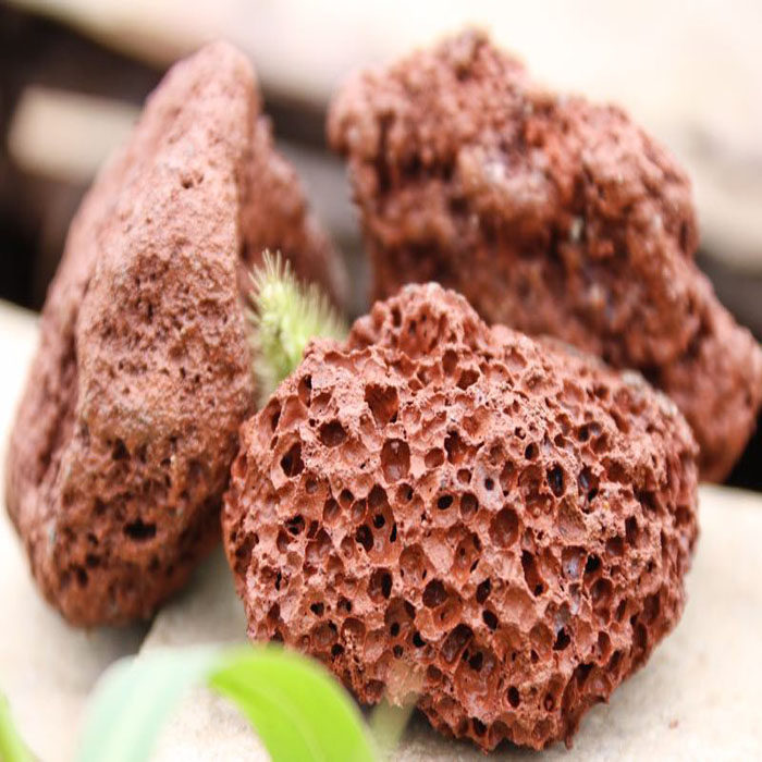 无机覆盖物特级火山岩古树保护树池花境花池园林景观公园土壤覆盖