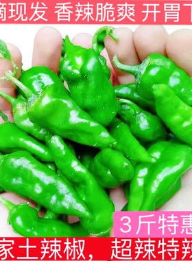 包邮3斤 安徽特产土辣椒新鲜农家自种特辣余干辣椒枫树辣椒青辣椒