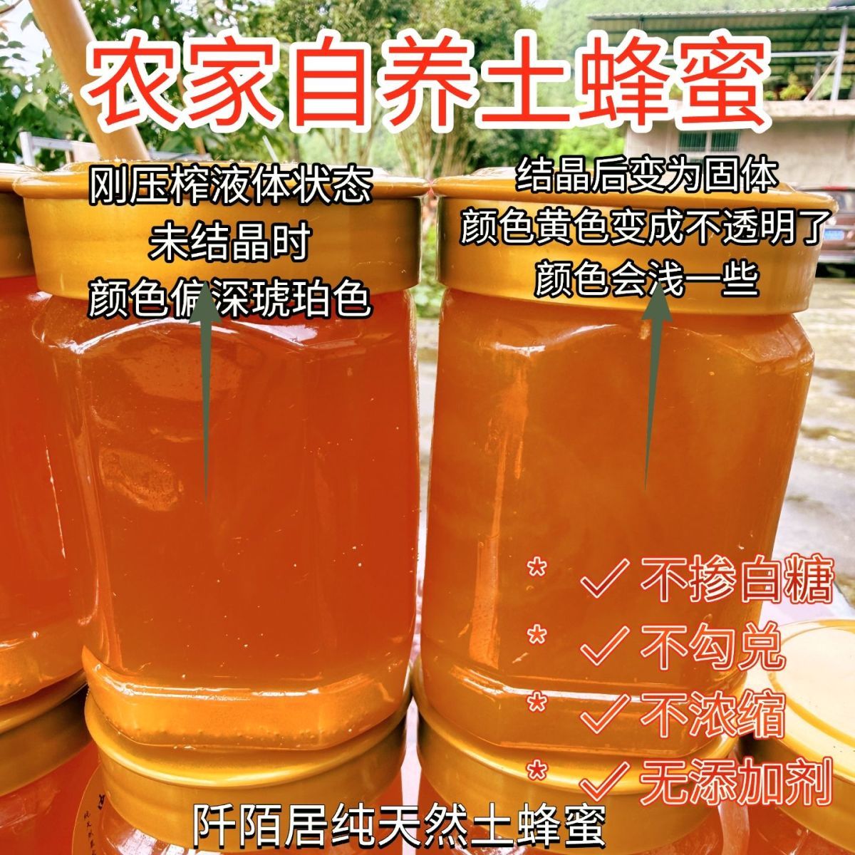 四川大山土蜂蜜纯正天然农家自产活性酶野生正品百花蜜2026新蜜