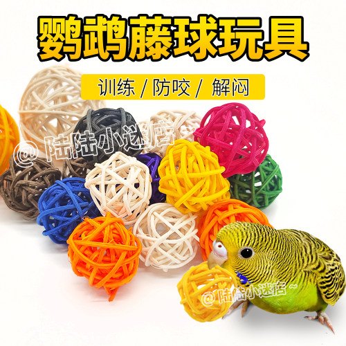 藤球玩具鹦鹉开发智力训练