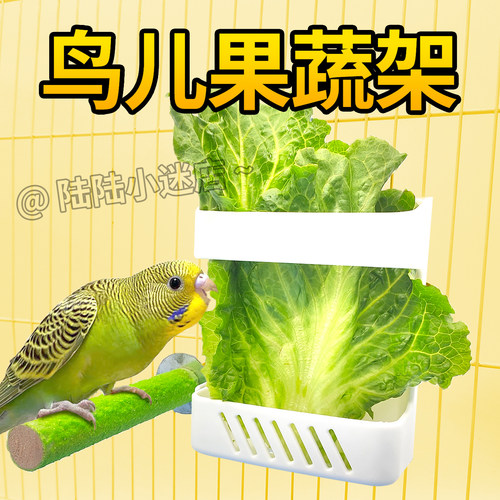 鸟用果蔬菜架鹦鹉水果蔬菜喂食器