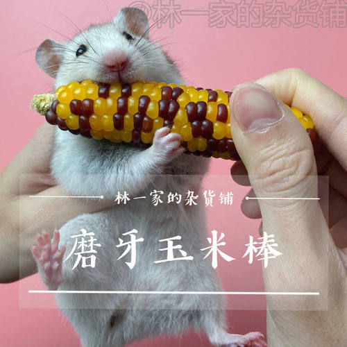 金丝熊仓鼠磨牙玉米棒零食鼠粮