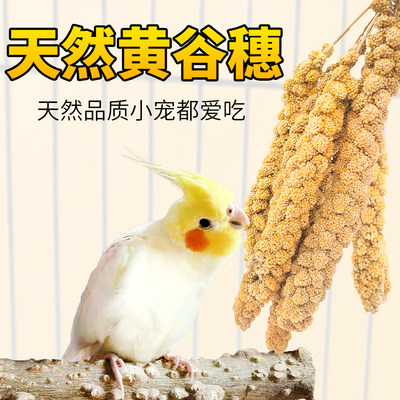 鹦鹉谷穗小米零食饲料粮食