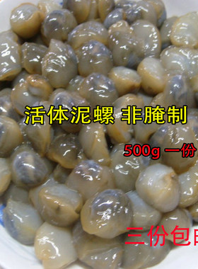 鲜活海捕麻辣无沙生呛包邮黄泥螺