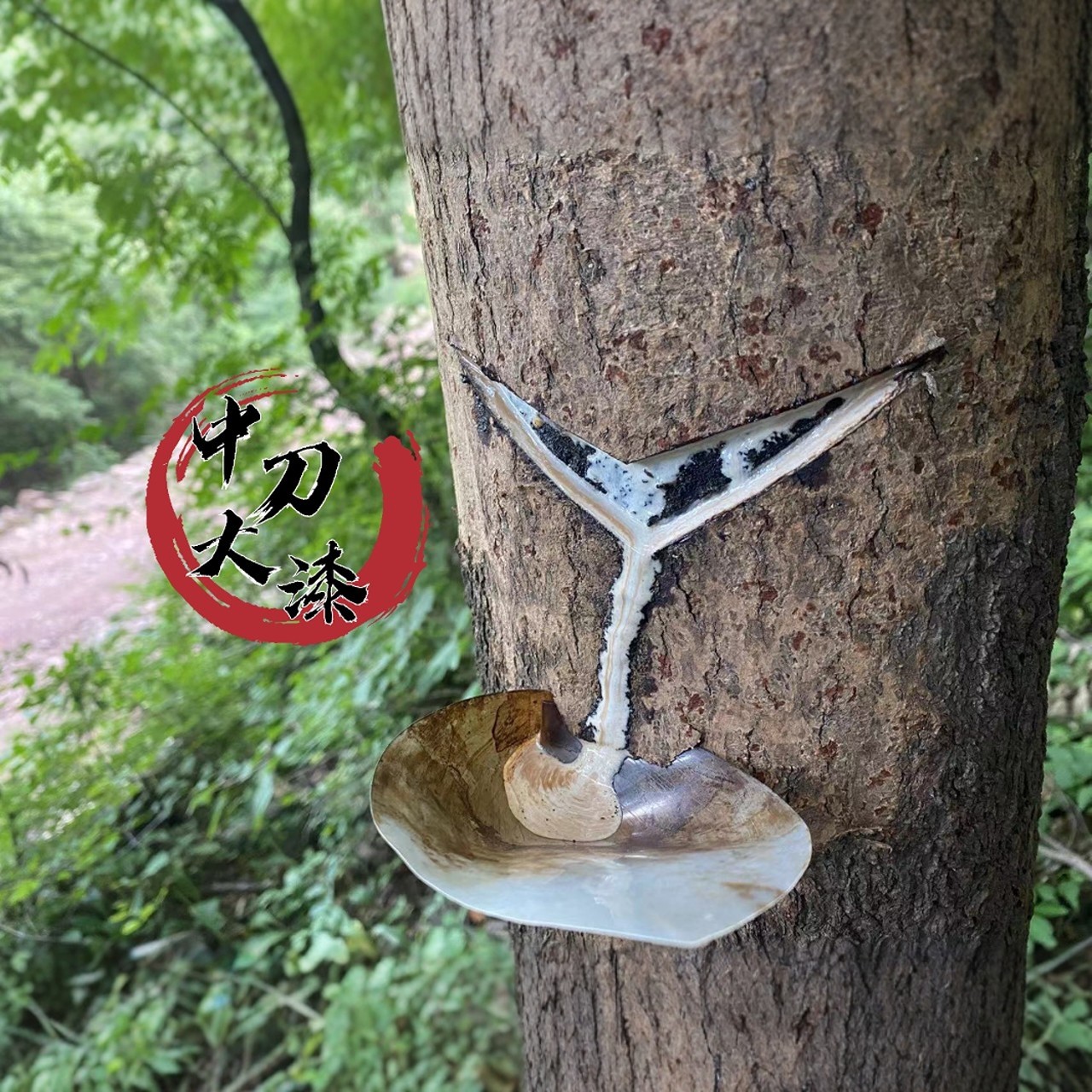 天然生漆中刀漆大漆土漆天然漆野生漆树棺材寿木斫琴漆器漆画专用