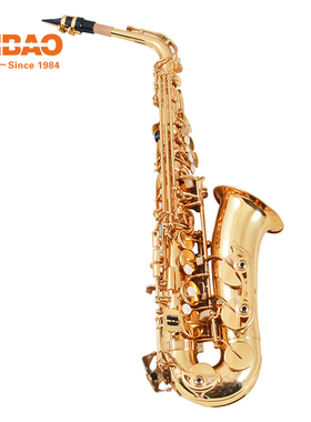 津宝牌中音降E调萨克斯风儿童成人初学教学乐器JBAS-601