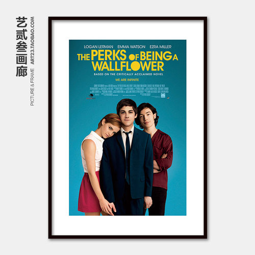 壁花少年 The Perks of Being a Wallflower爱情电影海报装饰画