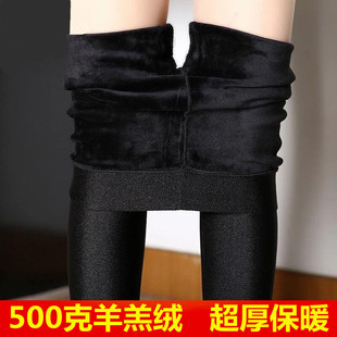 加绒光泽裤 500克羊羔绒加厚打底裤 大码 保暖高腰踩脚棉裤 外穿冬季
