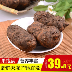 【野生天麻图片】野生天麻图片大全