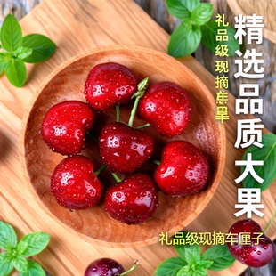 汶川车厘子现摘现发四川大樱桃顺丰空运次日达新鲜高品质脆甜多汁