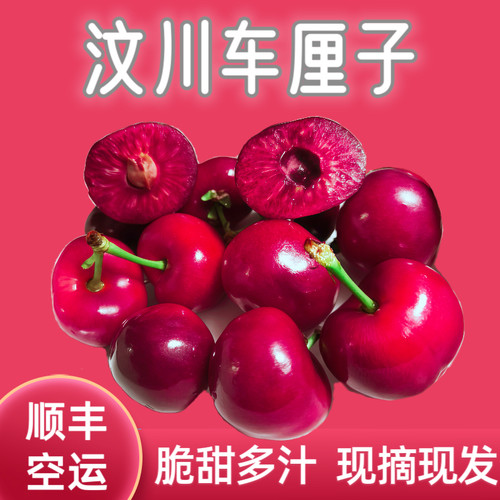 汶川车厘子脆甜爆汁现摘现发应季礼品4j甜樱桃顺丰空运新鲜高品质