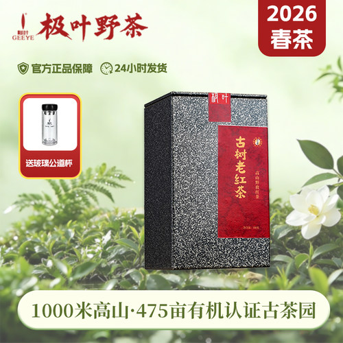 极叶2026新茶高山古树有机老红茶
