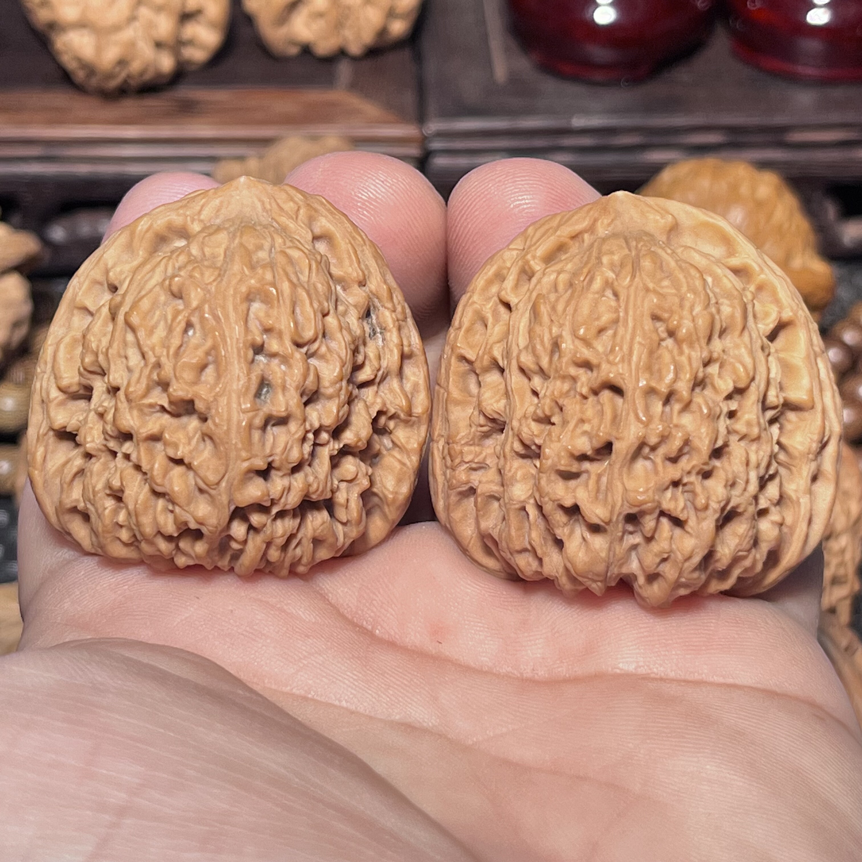 南疆石全品老树红皮43/41.5/41三角疆山地果45.6克一物一图实物拍