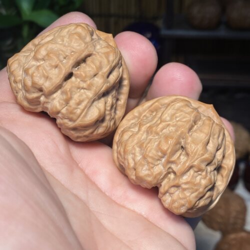 A3蛤蟆头三角箭毒蛙红皮文玩核桃深开背八腿八眼延庆山地果