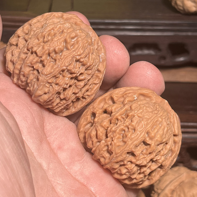 红皮拉丝密纹南疆石文玩核桃一物一图红皮高炮矮桩南全品无修