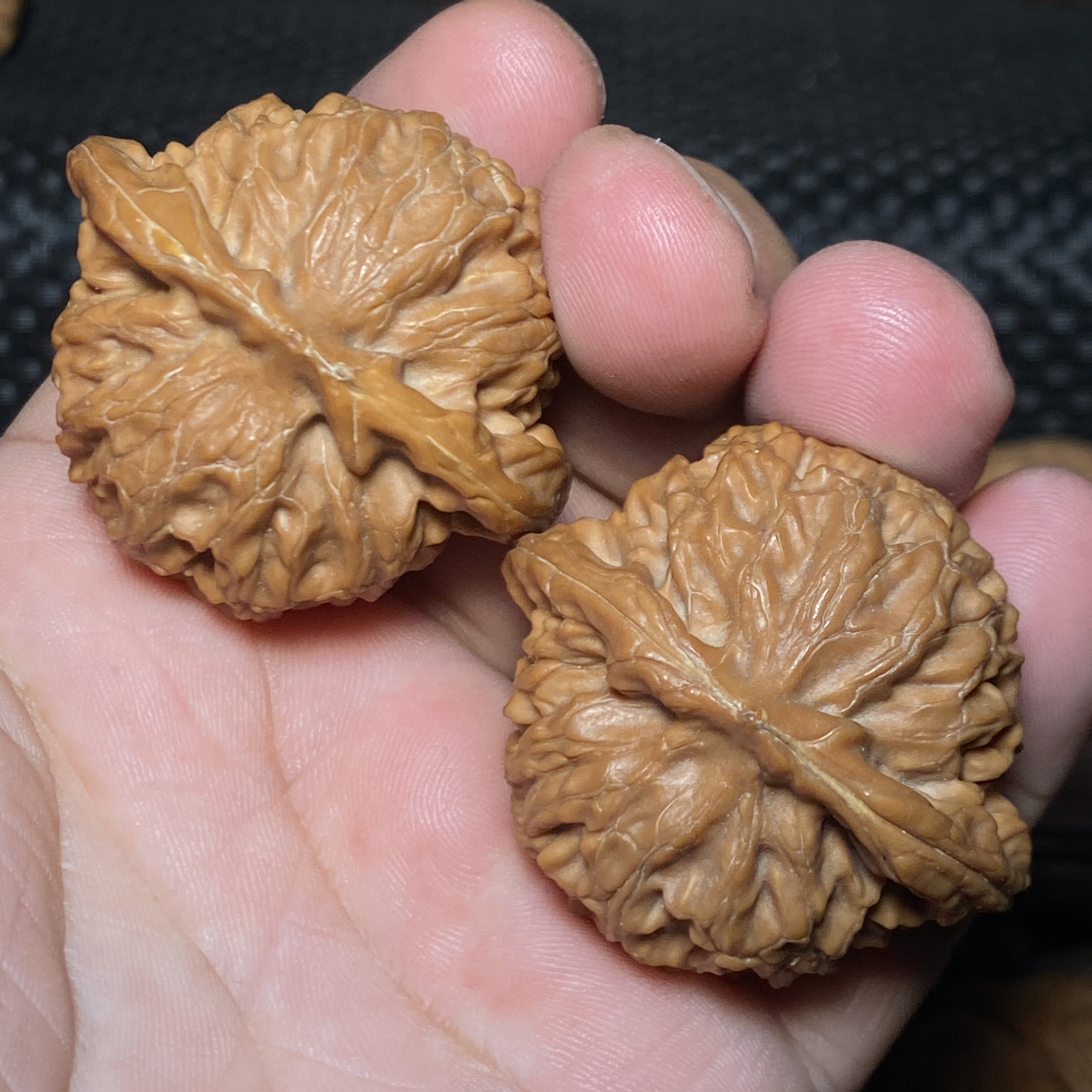 C3玉玺宫灯狮子头全品无修42尺文玩核桃一五一图荔枝纹老树红皮