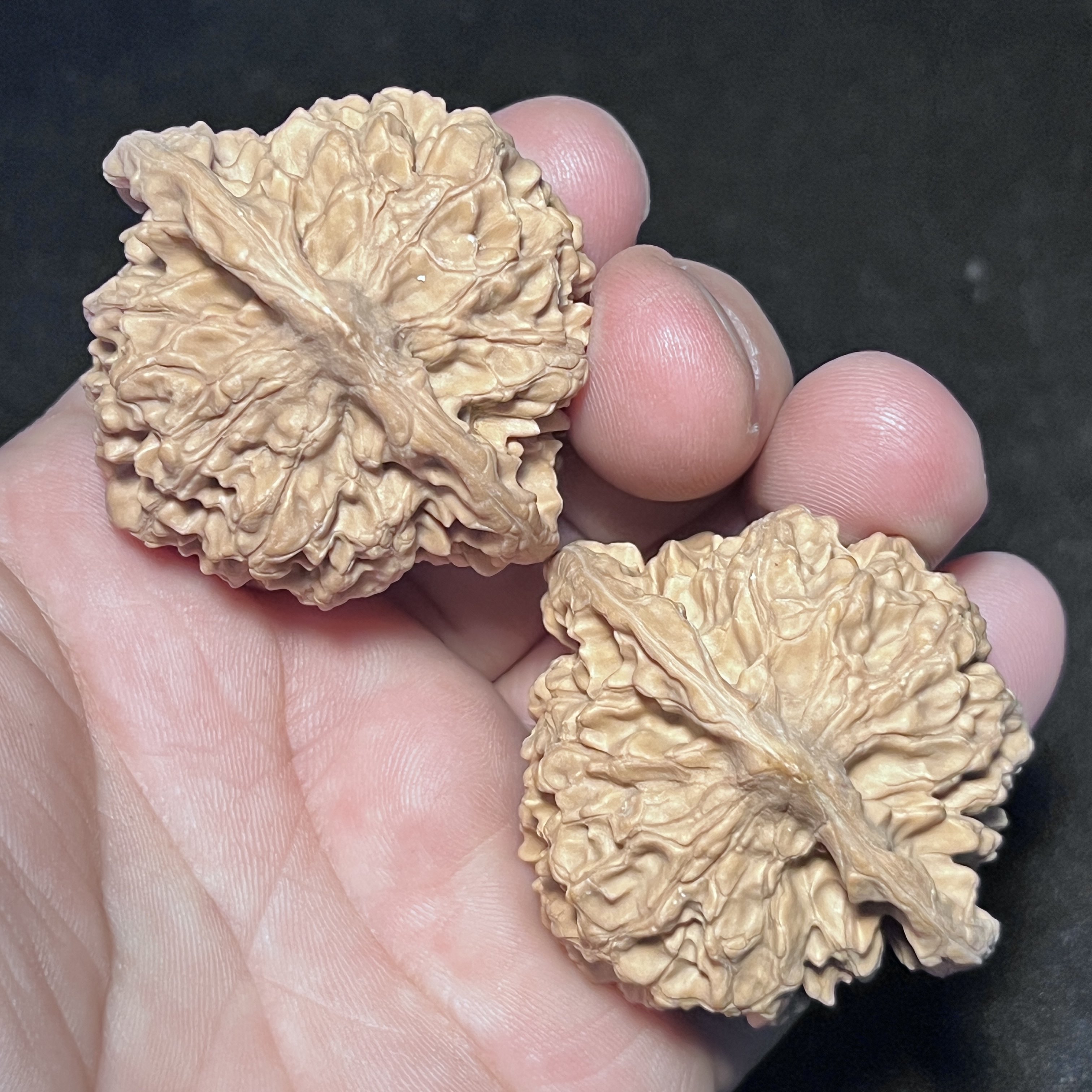 麒麟纹官帽矮桩47全品无修文玩核桃老树红皮果宽边大耳桃心型,饰品/流行首饰/时尚饰品新,小众木作,淘宝优惠券,粉丝福利购,淘宝优惠卷