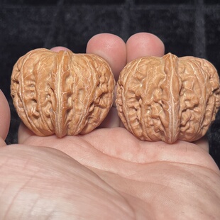 原桩老树平谷元宝45尺50克份量足老树红皮果 粗棱蟒皮纹文玩核桃