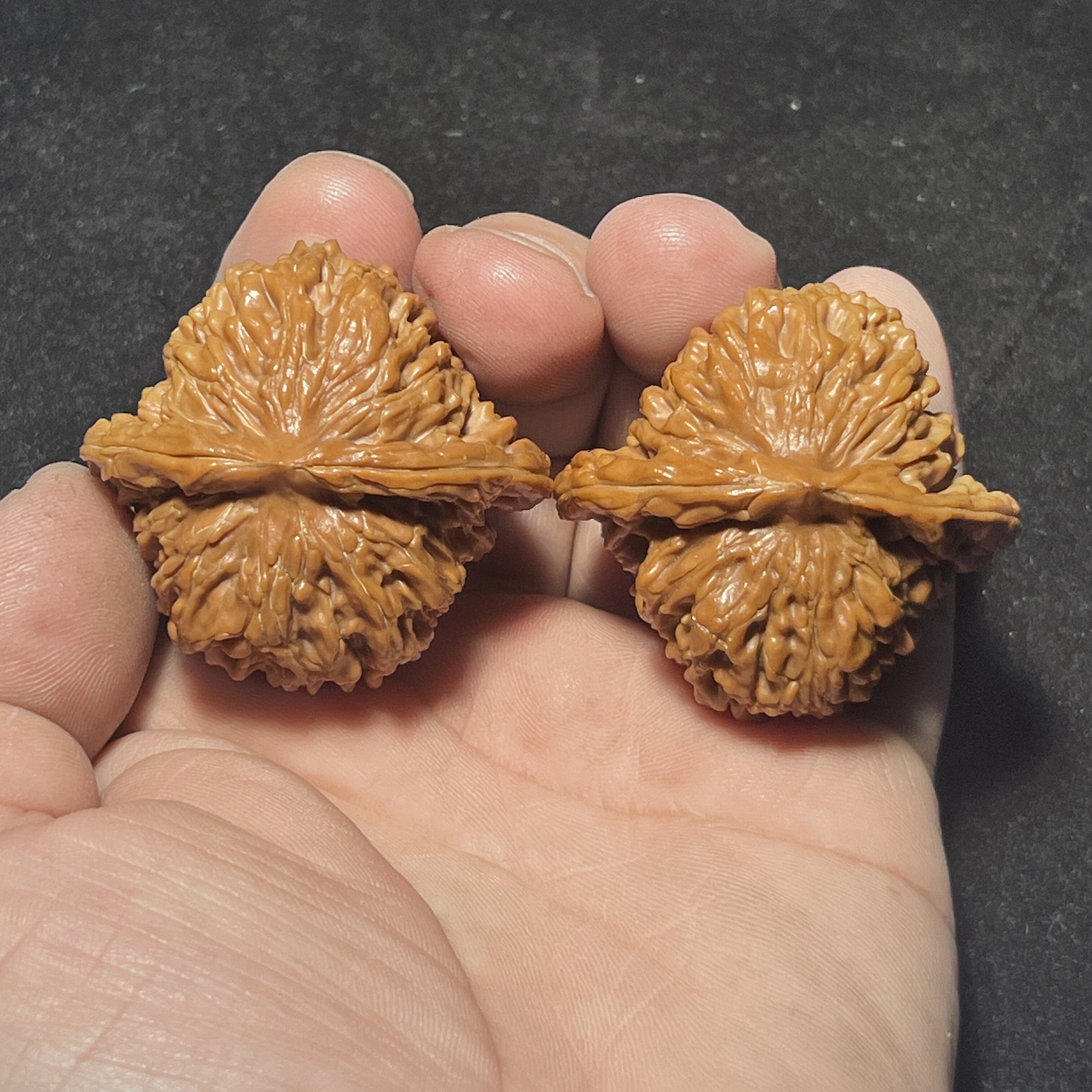 四座楼狮子头已经打底全品文玩核桃一物一图实物拍摄45尺老树红皮