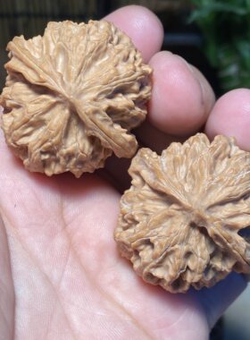 D2苹果园狮子头40尺全家福骨质好全品无修荔枝纹金钱底后期玛瑙红