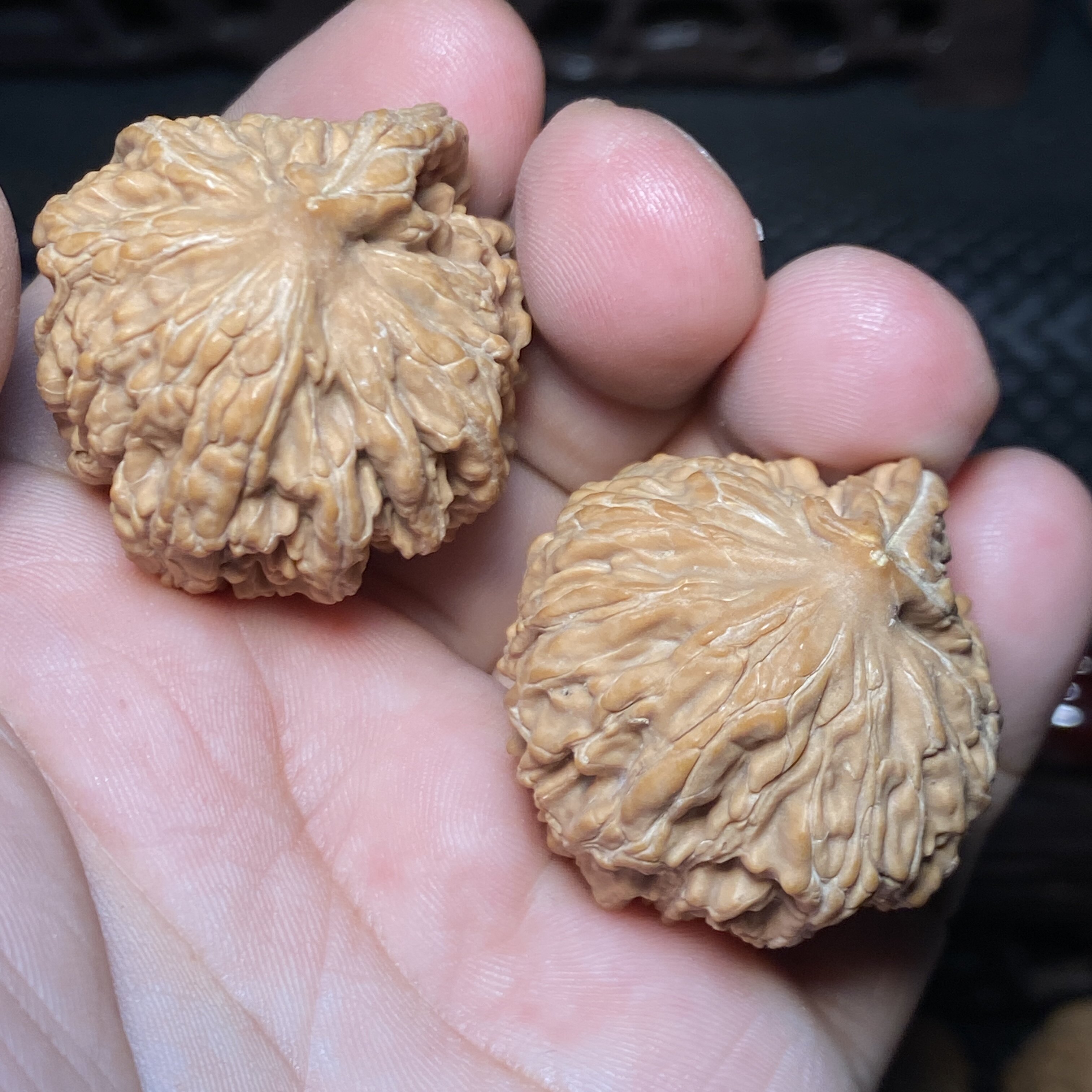 A15四座楼一帆风顺全品文玩核桃一五一图异型文玩手把件全品无修