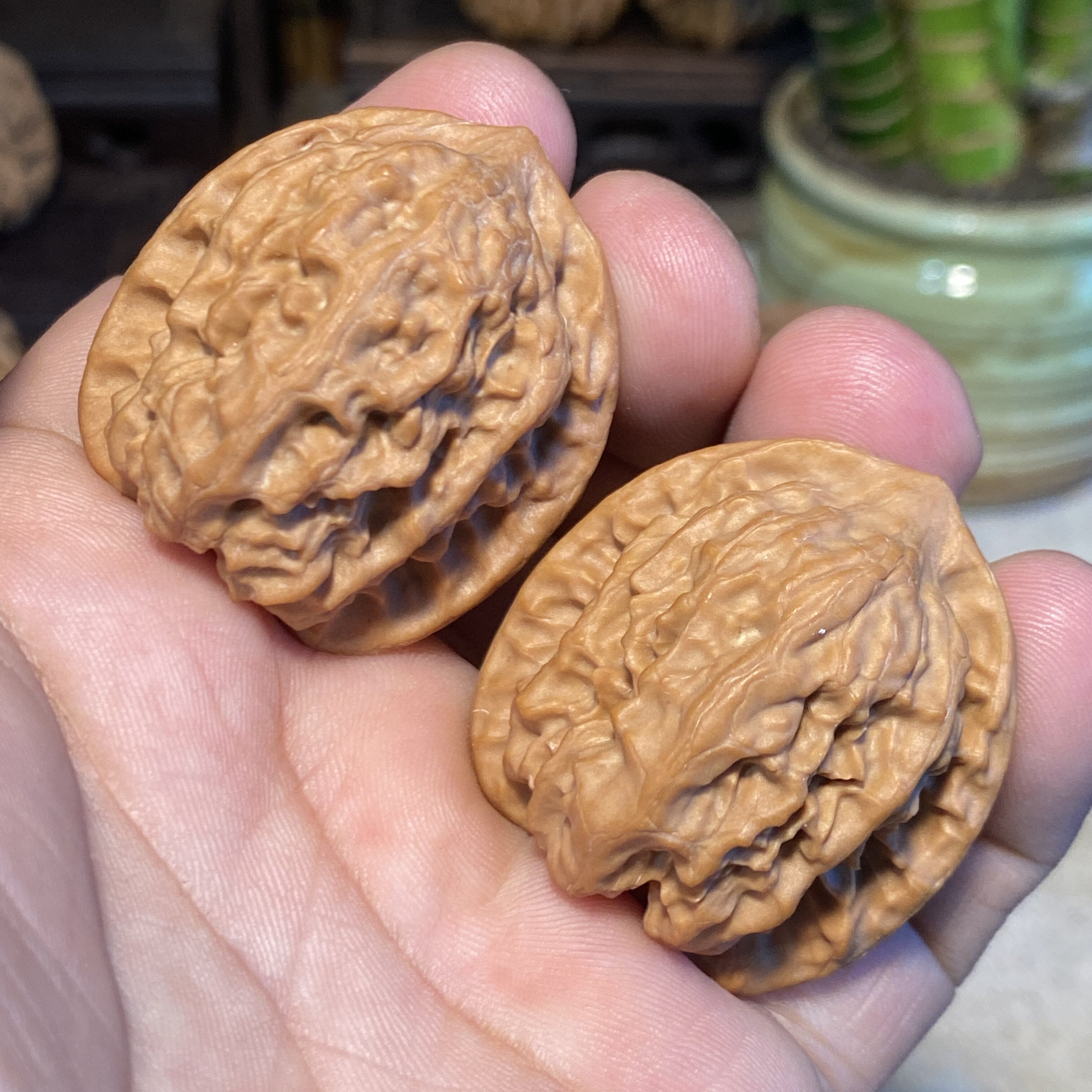 D36野狼狮子头全品文玩核桃水晶油蜡皮手把件全品高桩山地野生