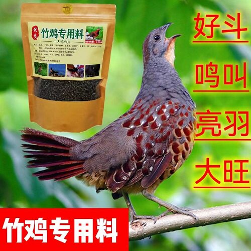 竹鸡饲料山竹鸟提性营养料包邮