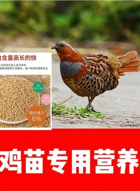 正宗竹鸡苗饲料小竹鸡通用高蛋白营养颗粒料好消化易吸收一斤包邮