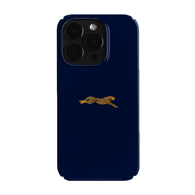 影驰 艺术小众适用高级感磁吸iPhone17pro+苹果16promax菲林手机壳新款13pro潮流苹果14plus