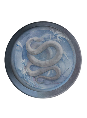 冰封小蛇小众菲林磁吸支架高级感小众个性可拆卸桌面支撑MAGSAF