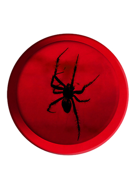 红色蜘蛛小众菲林磁吸支架高级感小众个性可拆卸桌面支撑MAGSAFE