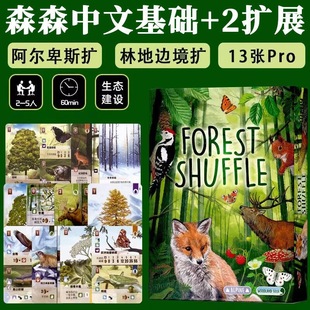 森森不息中文基础加全扩加13张promo卡德式策略扩展桌游多人聚会