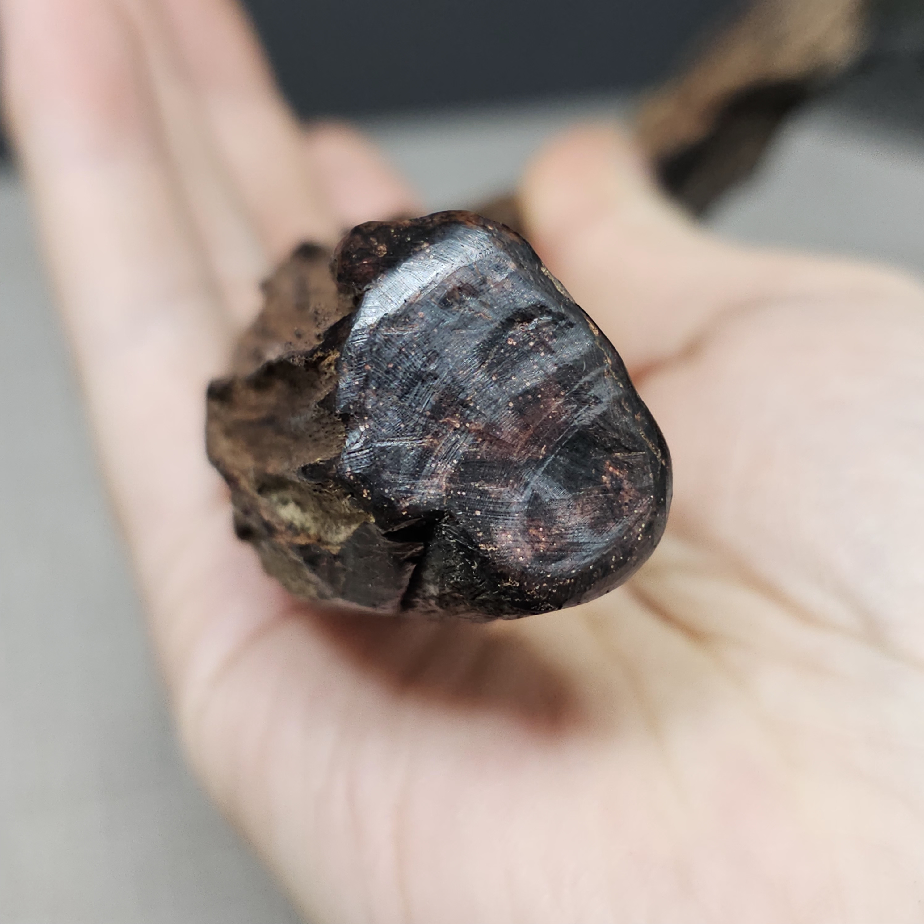 海南降真香小叶沉水天然实心孤品黑油土埋老料摆件收藏开车珠原材