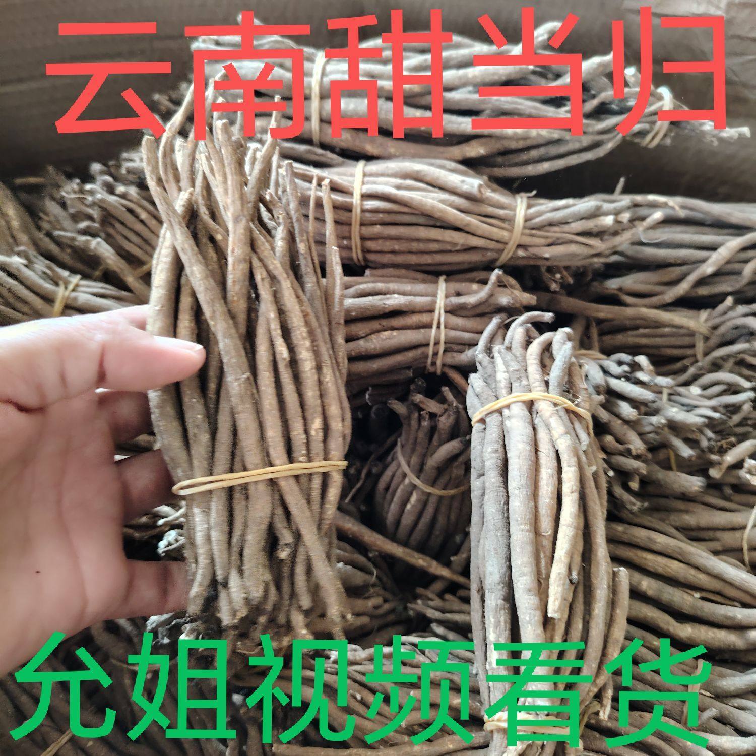 高原藏甜当归干货仿野生土当归四川西阿坝特产独角整根非云南凉山