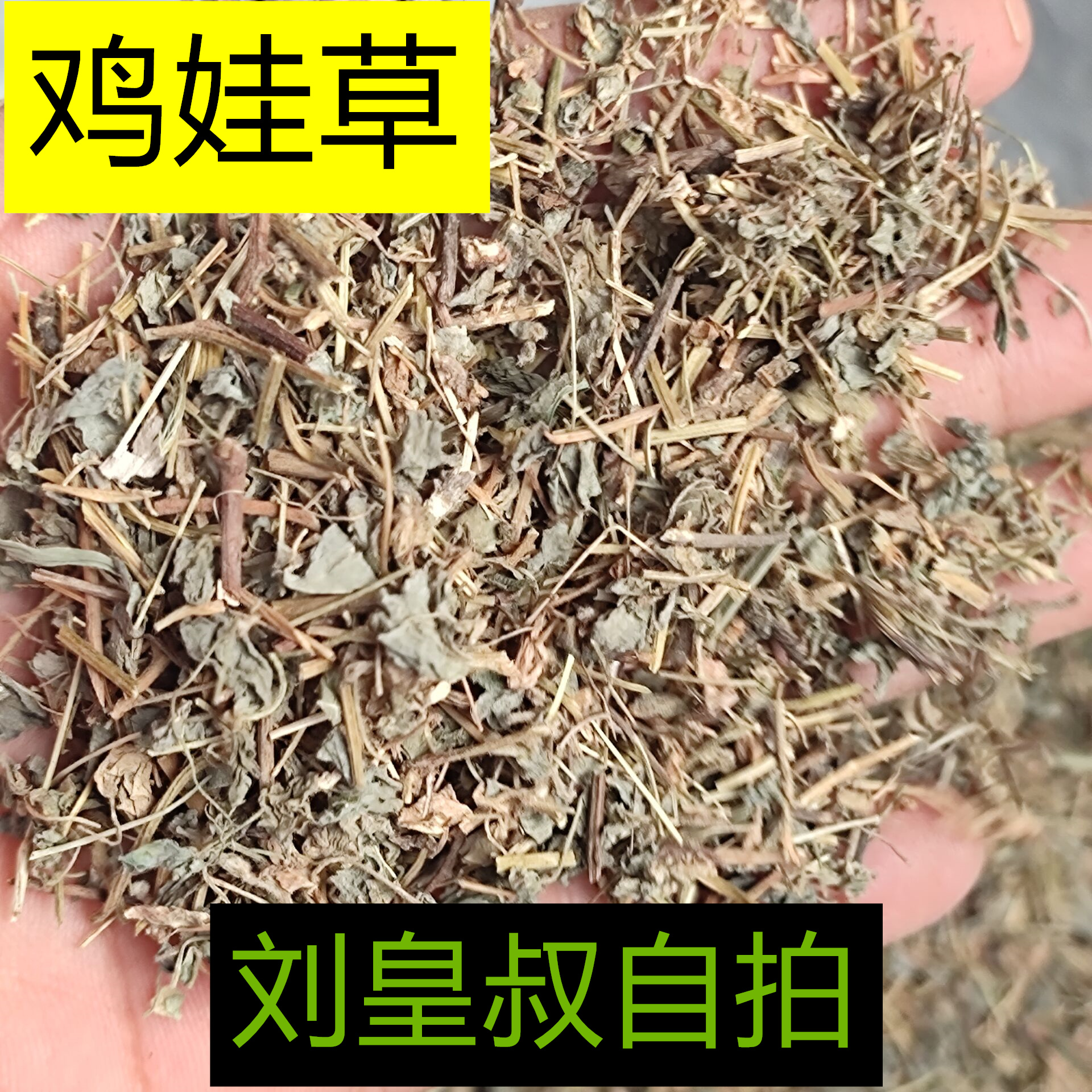 野生宁夏正品中药鸡娃蓝雪草刺矾松无硫药食同源食品食用农产品
