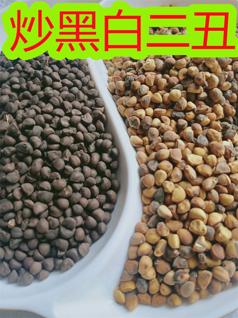 中药材炒制黑白二丑纯黑喇叭花子牵牛子炒白丑粉炒黑丑粉面膜粉