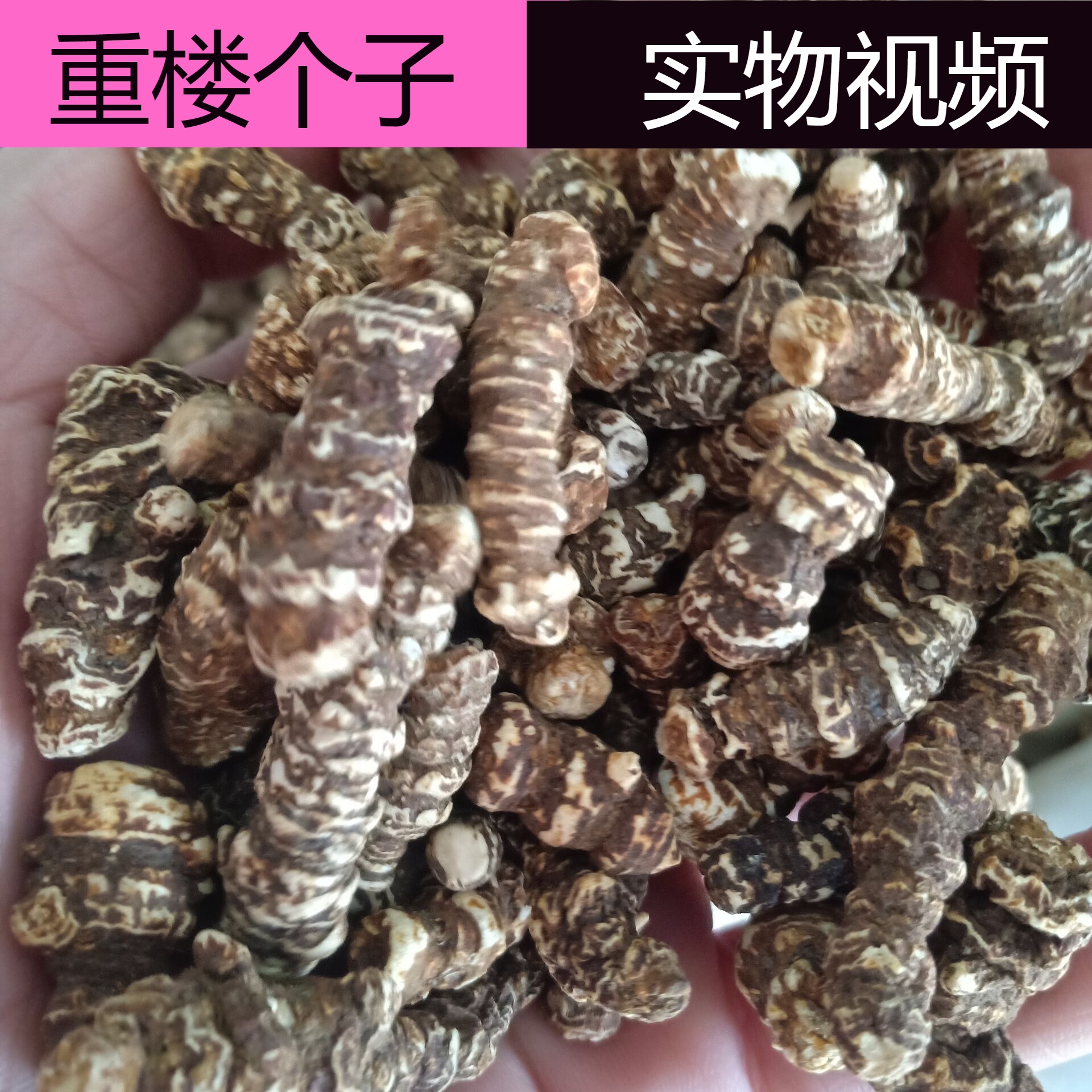 500克蚤休头干货免费打粉中药材