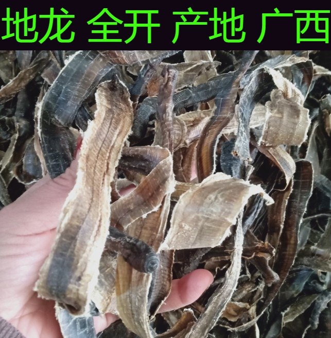 全开无泥500g可磨粉实物地龙整条广西新货中药材广地龙干蚯蚓白颈